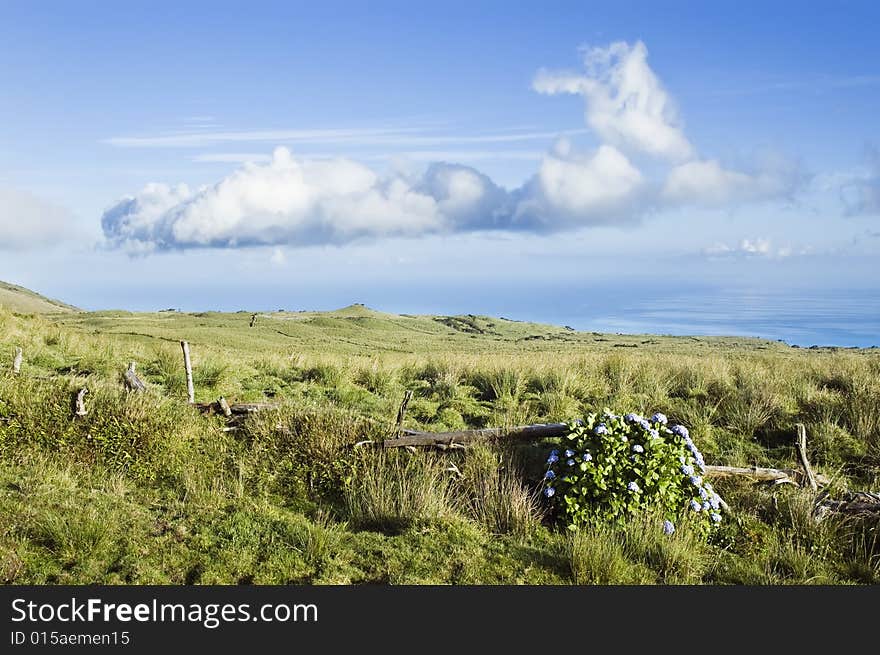 Pasture landscape of Pico island, Azores