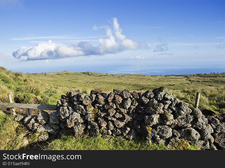 Pasture landscape of Pico island, Azores