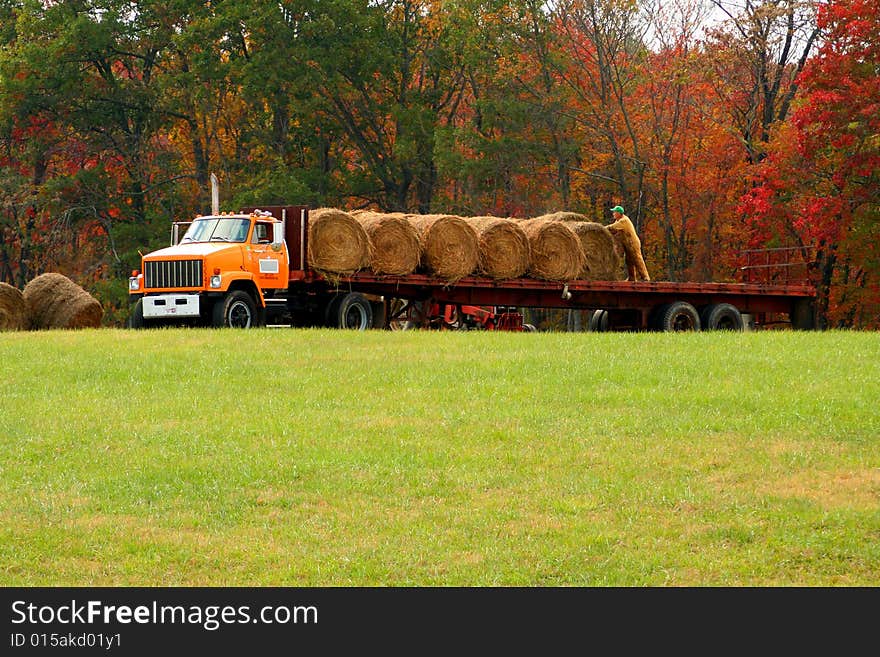 Man working to get hay up and ready for winter. Man working to get hay up and ready for winter.