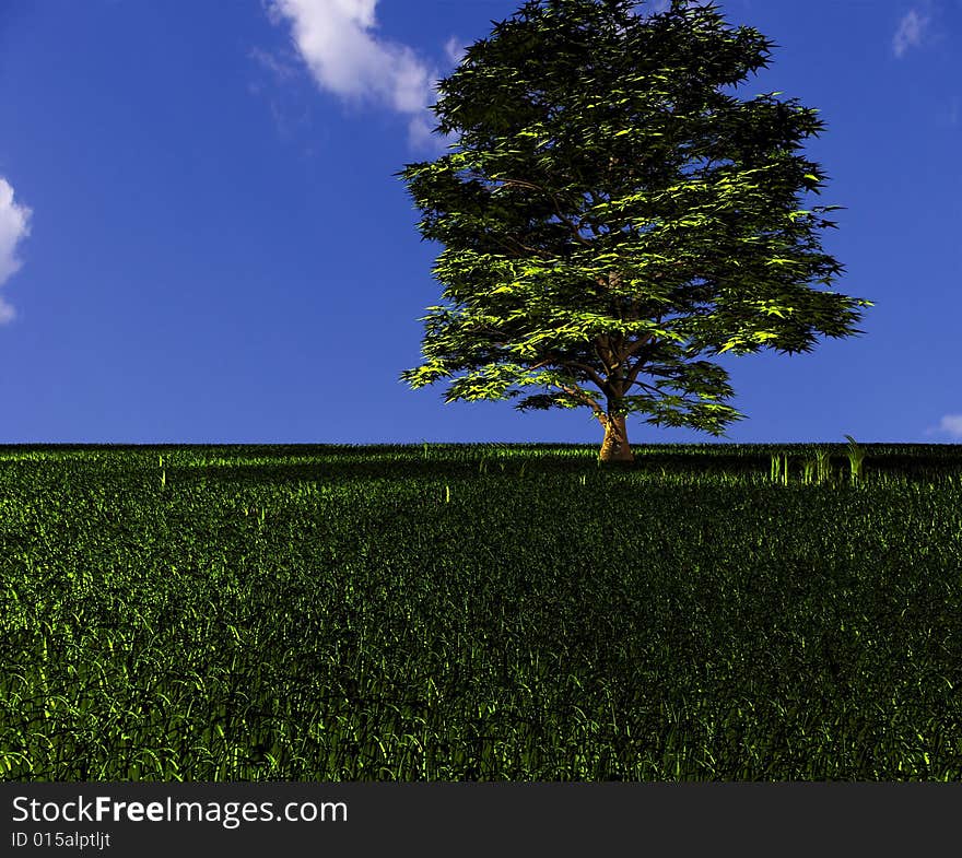 Green grass on a background of the sky