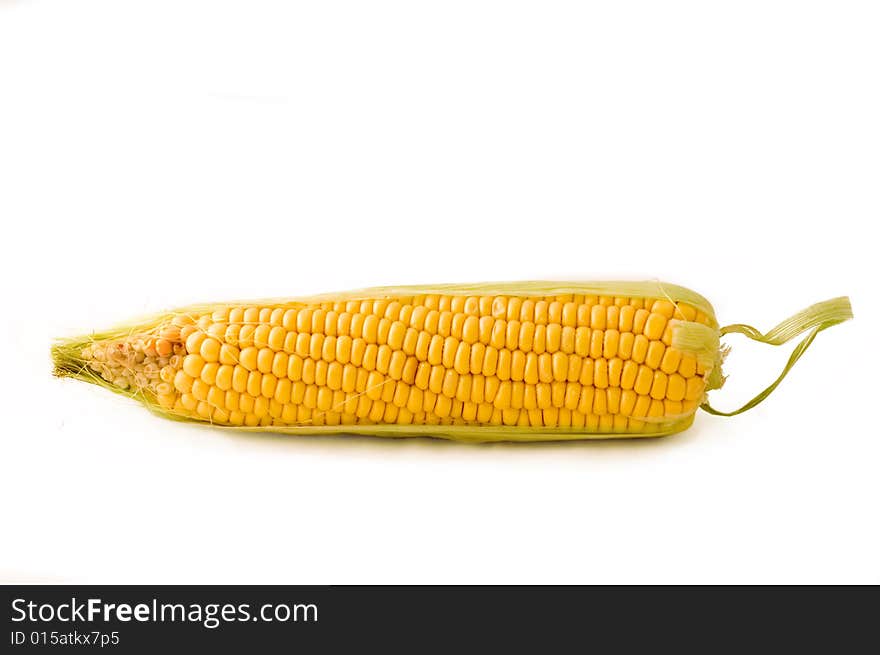 Corn on the cob. photographed on a white background.