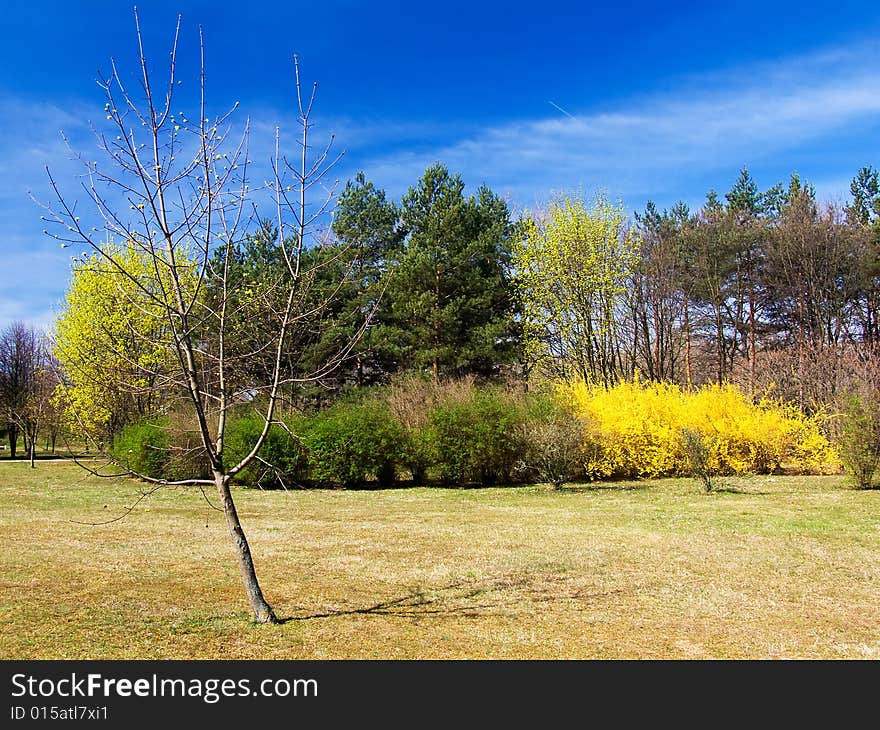 Park in spring at Piestany in Slovakia