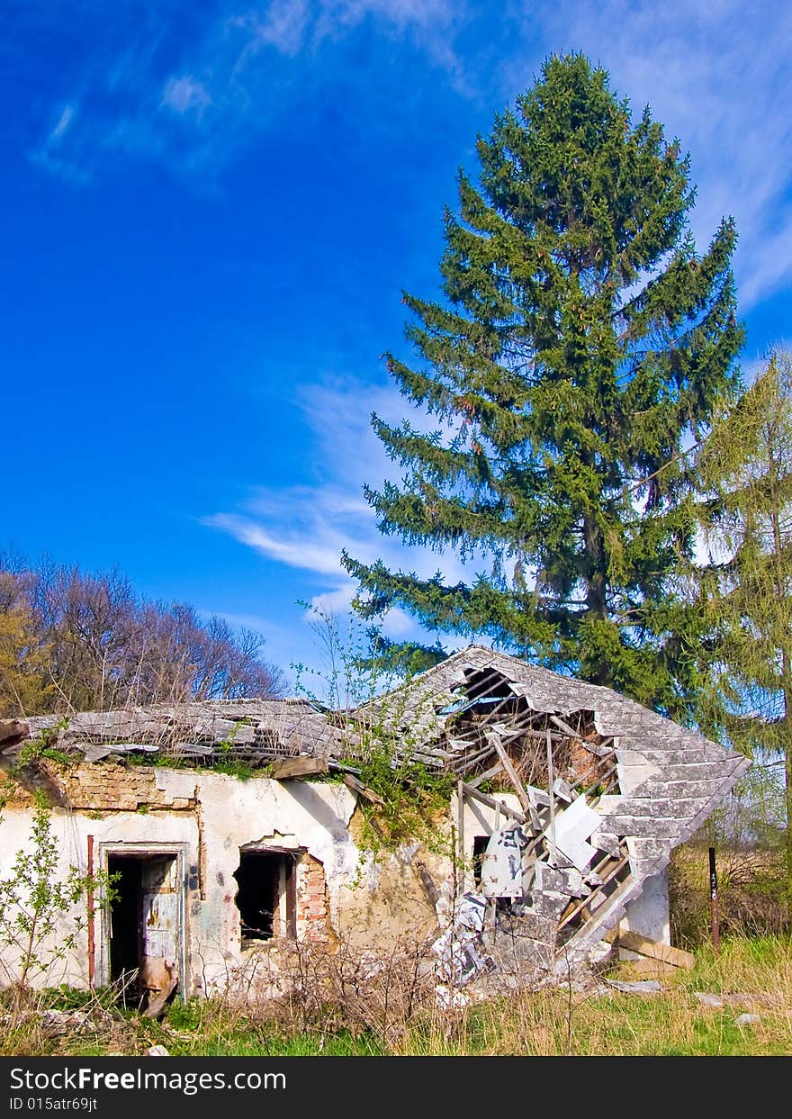 Mouldy house by the forest