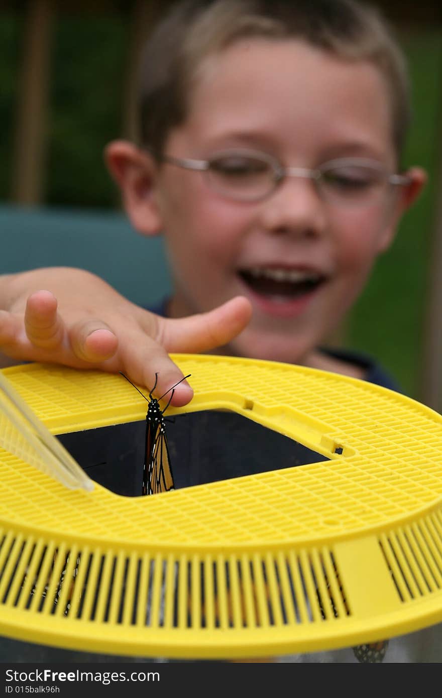 Butterfly Emerging From Cage