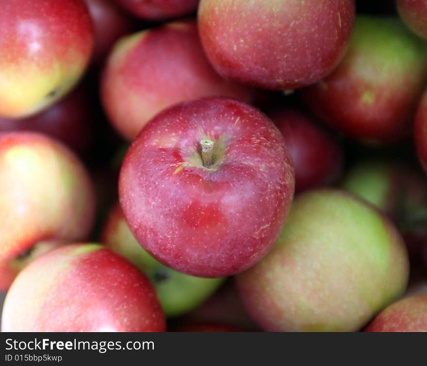 Pretty red and green apples freshly picked