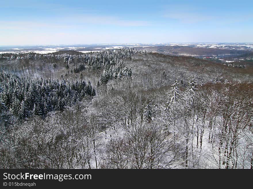 The photograph of the winter in the forest, the snow overlies trees. The photograph of the winter in the forest, the snow overlies trees