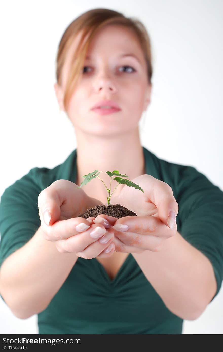 Beautiful young woman with green sprout of tree in her palms. Beautiful young woman with green sprout of tree in her palms