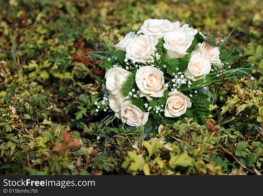 The wedding bouquet with beautifull white roses