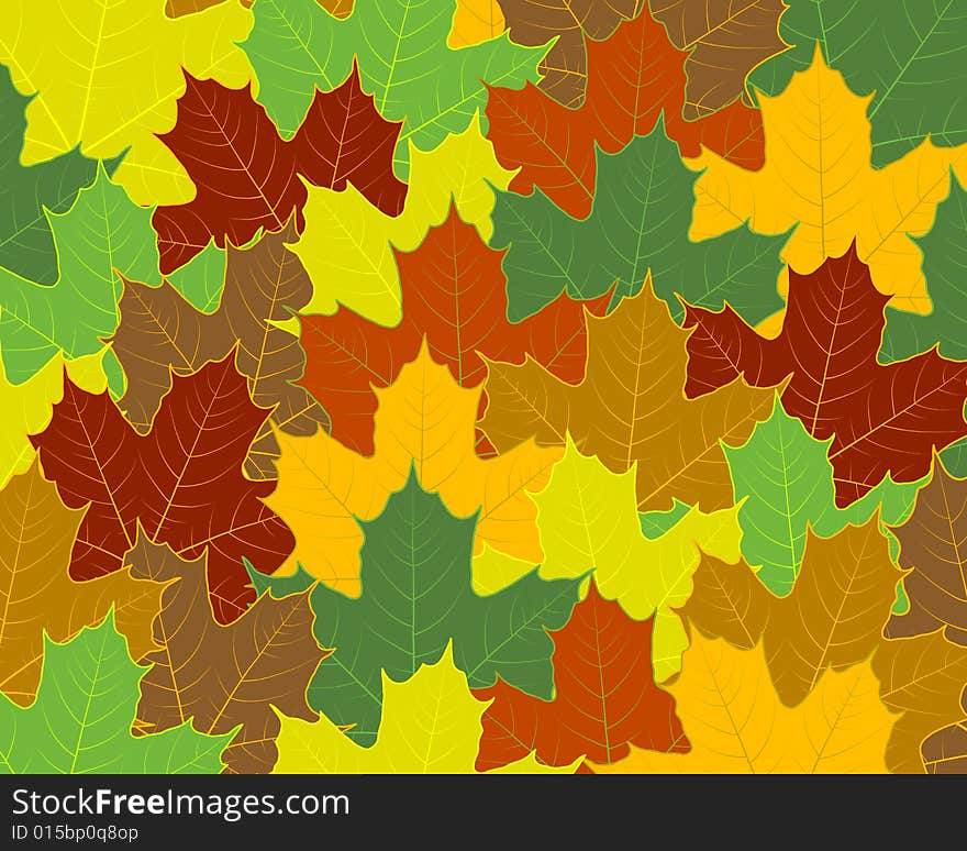 Background with veined maple leaves. Background with veined maple leaves