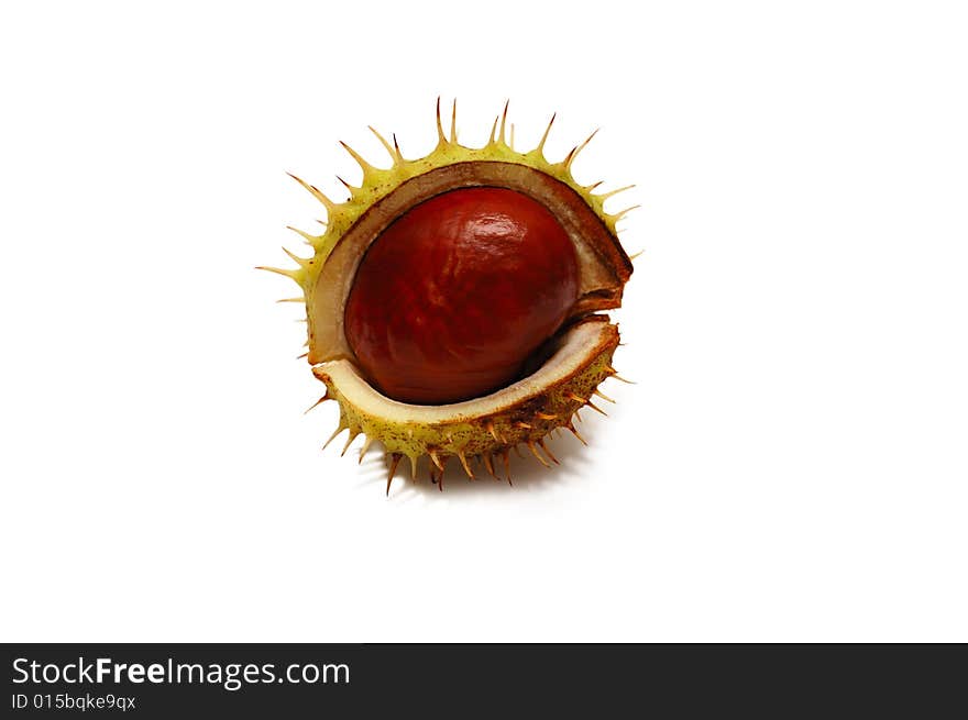 Chestnut isolated on white in the form of eye.