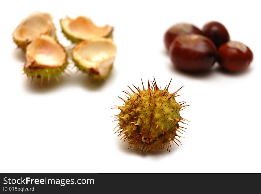 Chestnuts isolated on a white background. One safe chestnut is on the front and peeled chestnuts on the back.