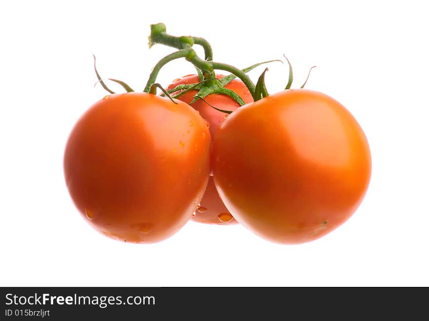 Three tomatoes isolated on white