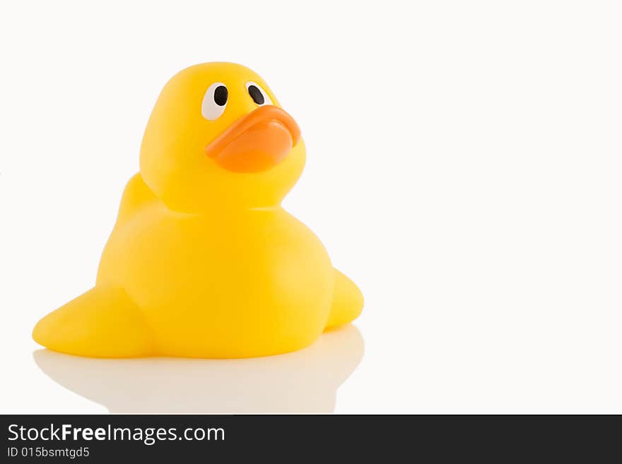 rubber duck to play in the water. rubber duck to play in the water