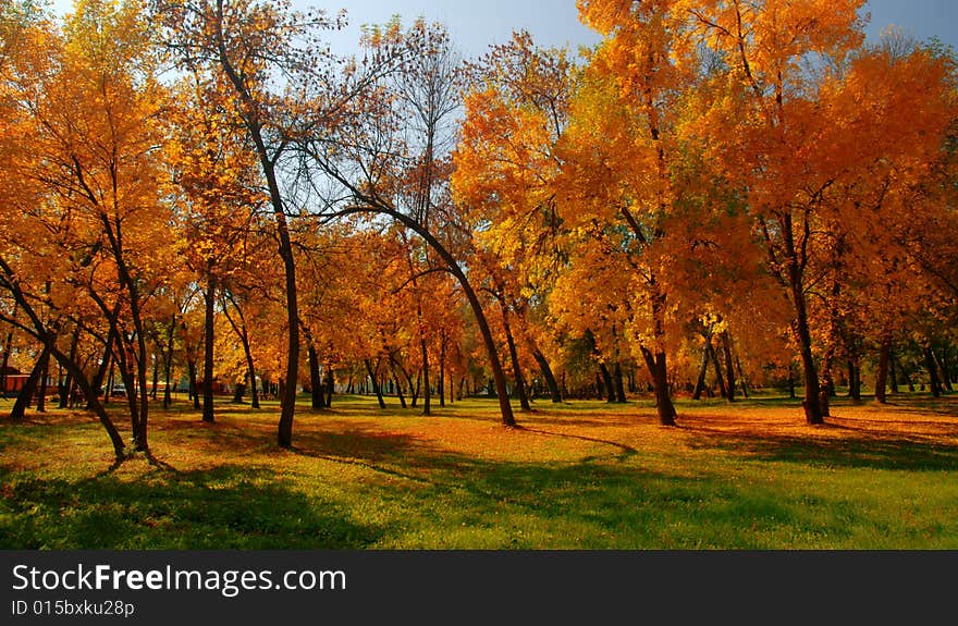 Autumn at the park in late october