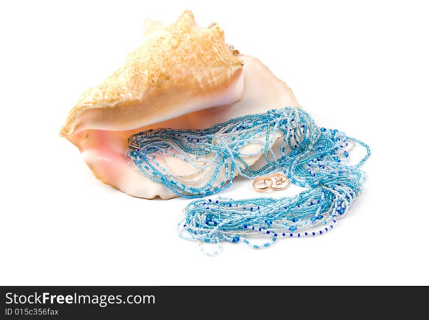 Seashell  and decorations on a white background