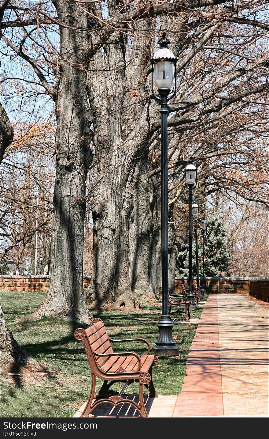 Brown bench in the park