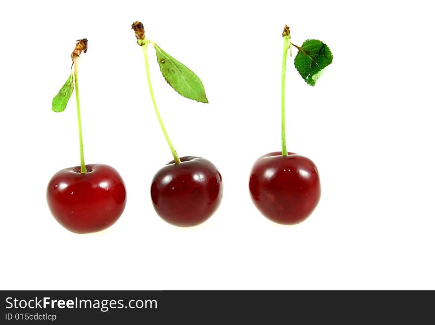 Sweet cherry isolated over white