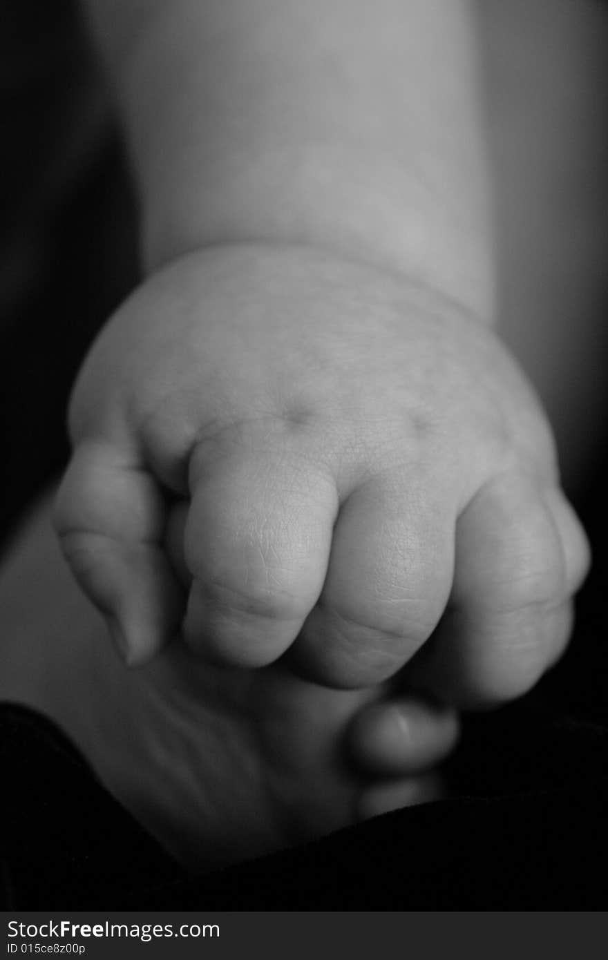 Black and white of an infants hand and foot. Black and white of an infants hand and foot