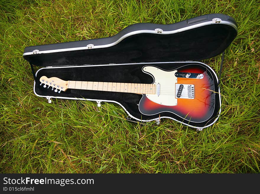 Guitar in case on grass