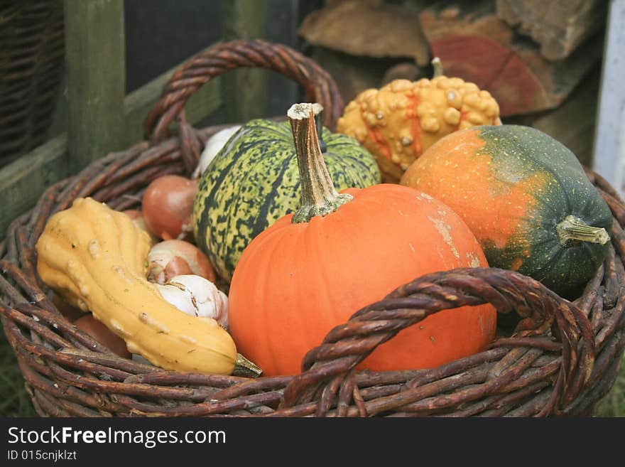 A lot of colorful pumpkin in a crate. A lot of colorful pumpkin in a crate.