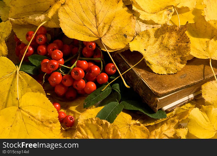 Very old book in autumn surrounding. Very old book in autumn surrounding