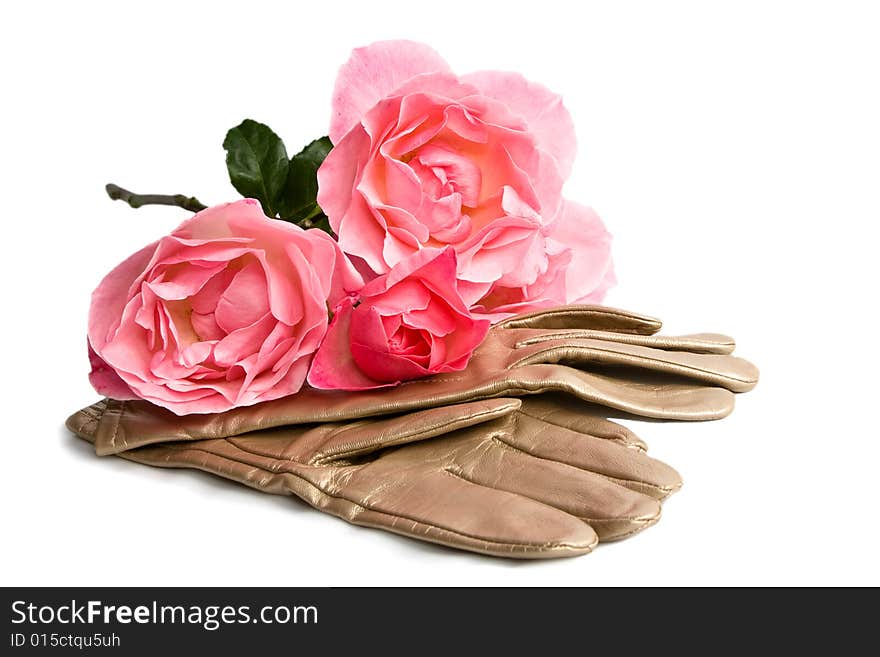 Gloves and roses on a white background