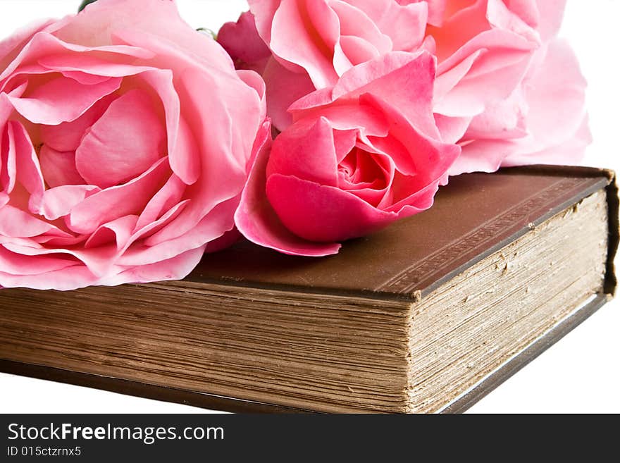 Pink roses on the old book, isolated. Pink roses on the old book, isolated