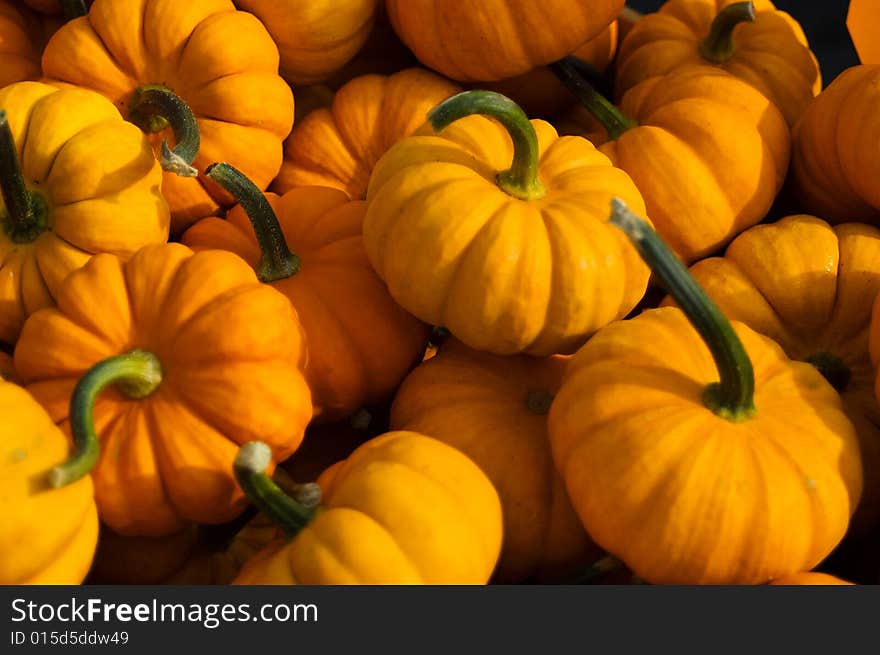 A barrel full of small pumpkins at the market. A barrel full of small pumpkins at the market