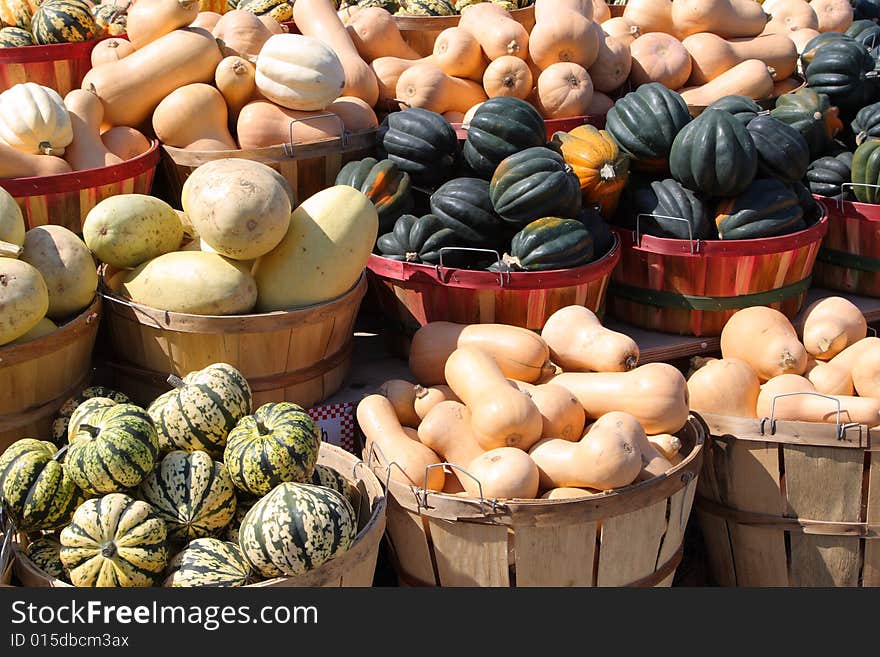 Autumn squash at a farm stand. Autumn squash at a farm stand