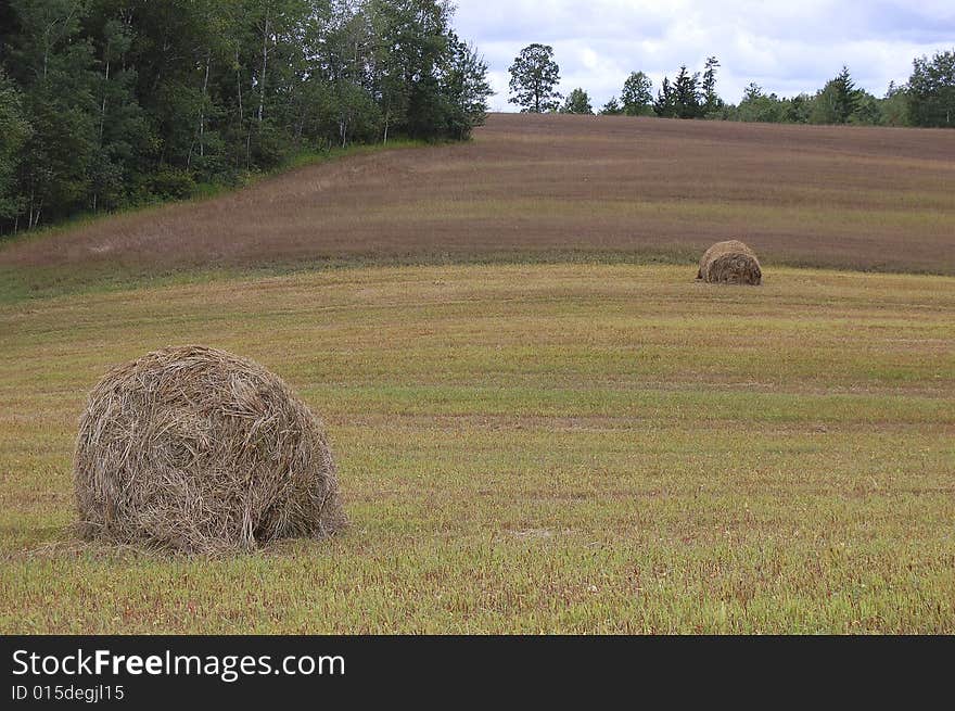 Landscape with hay