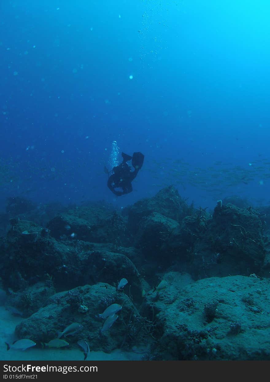 Diver at the Aqua Zoo