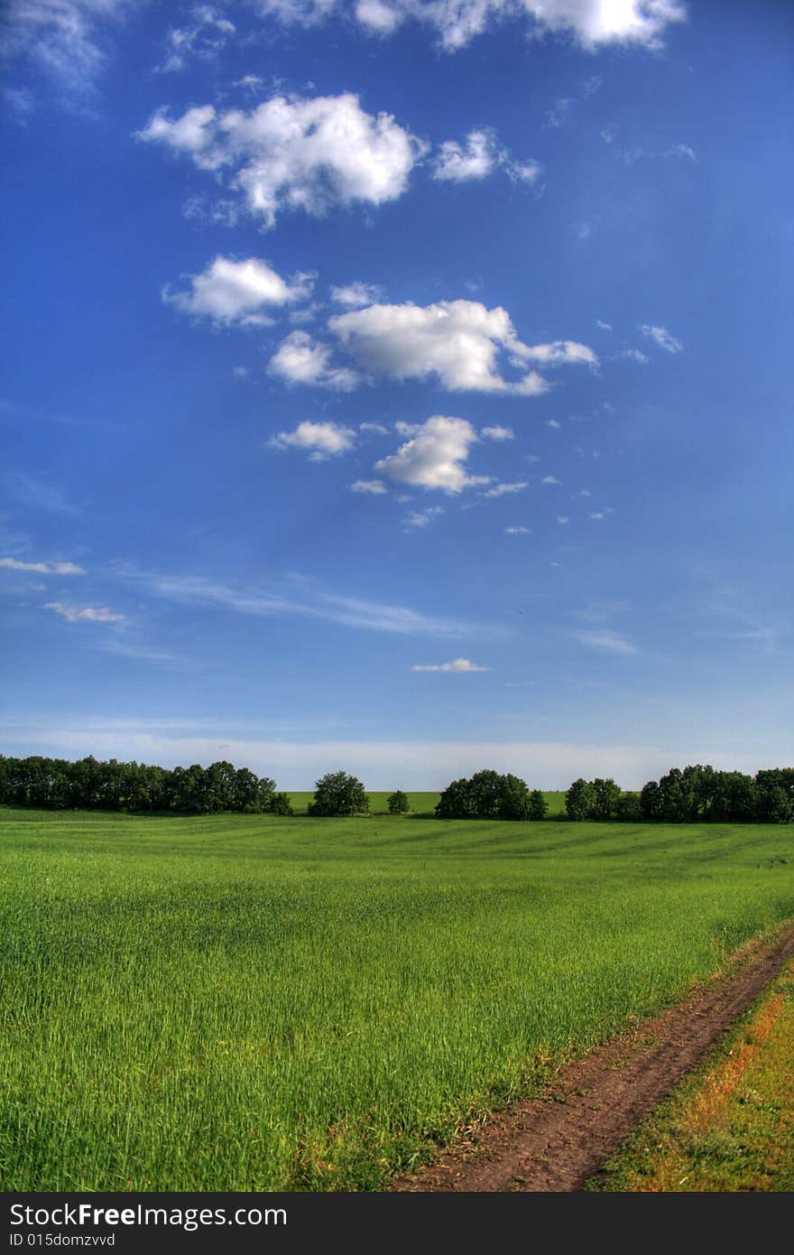 Beautiful green field with blue sky