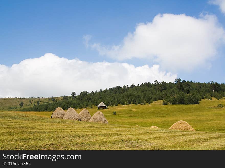 Idyllic Meadow On A Spring Day