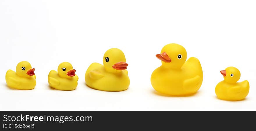 Isolated photo of some funny yellow ducks. Isolated photo of some funny yellow ducks