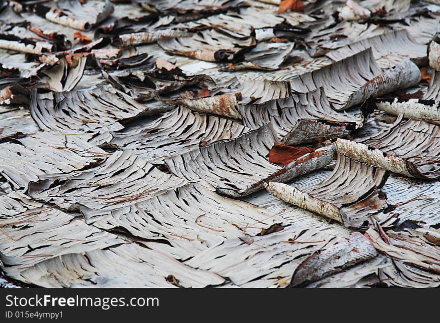 Peeling Tile Background