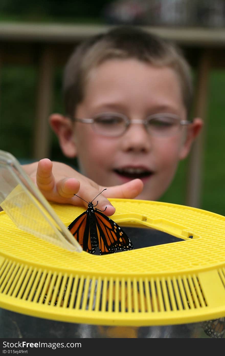 Young boy with a butterfly