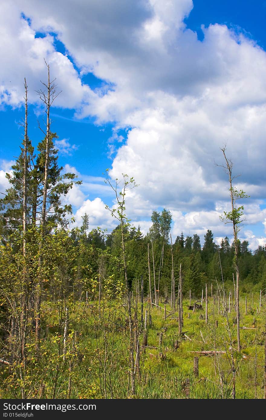 North land country landscape in Russia. North land country landscape in Russia