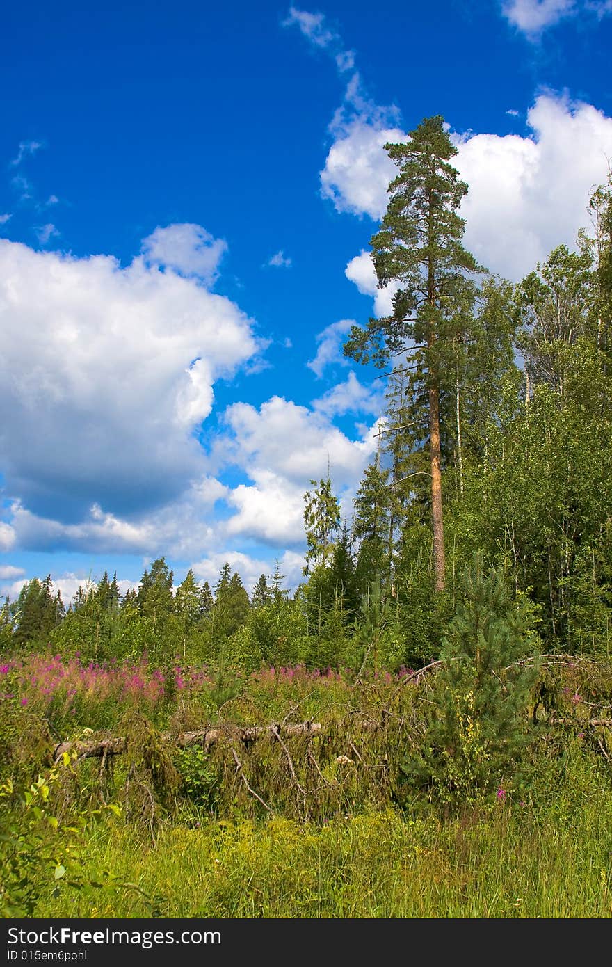 North land country landscape in Russia. North land country landscape in Russia