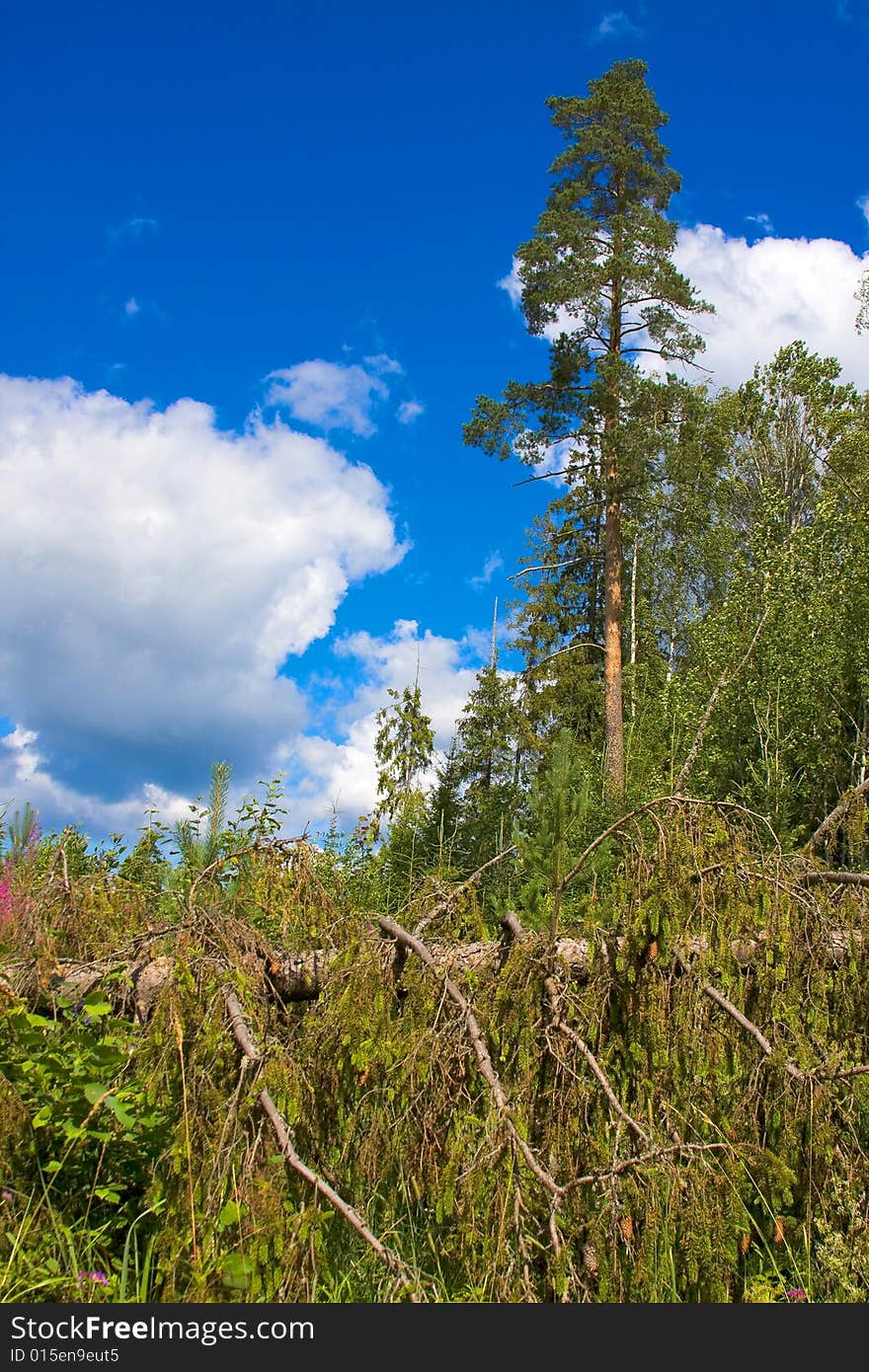 North land country landscape in Russia. North land country landscape in Russia