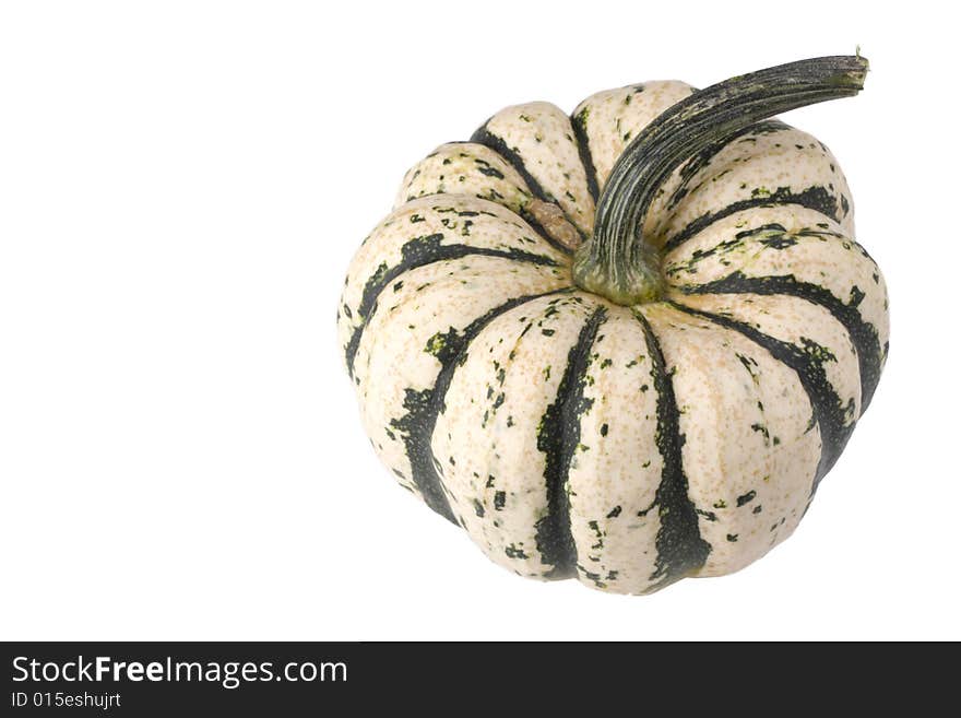 Single pumpkin on white background