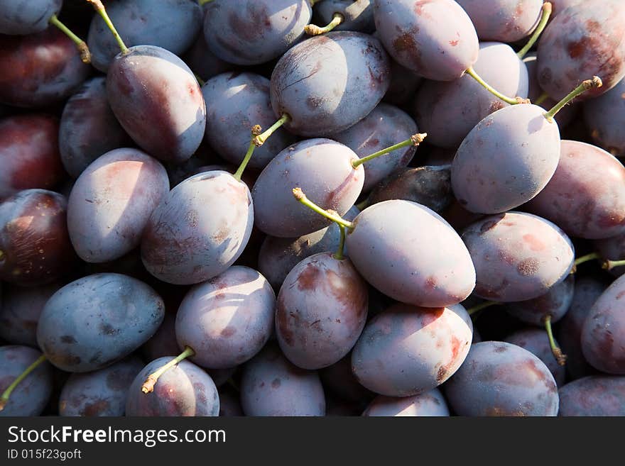 Just picked-up fresh plums