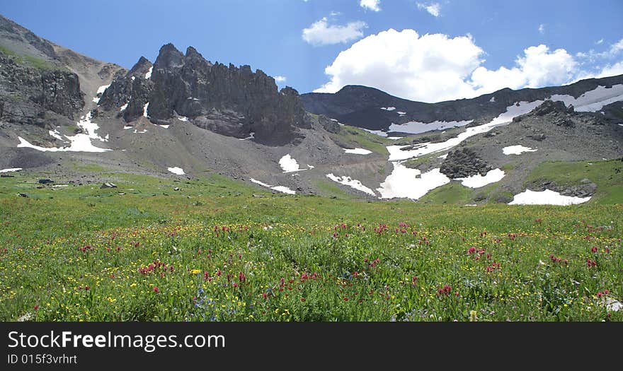 Peaceful field of wild flowers deep in the Rocky mountains where quiet really exiss. Peaceful field of wild flowers deep in the Rocky mountains where quiet really exiss