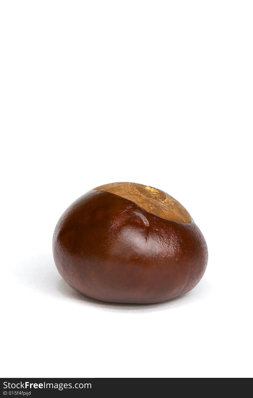 Opened fruit of chestnut on a white background