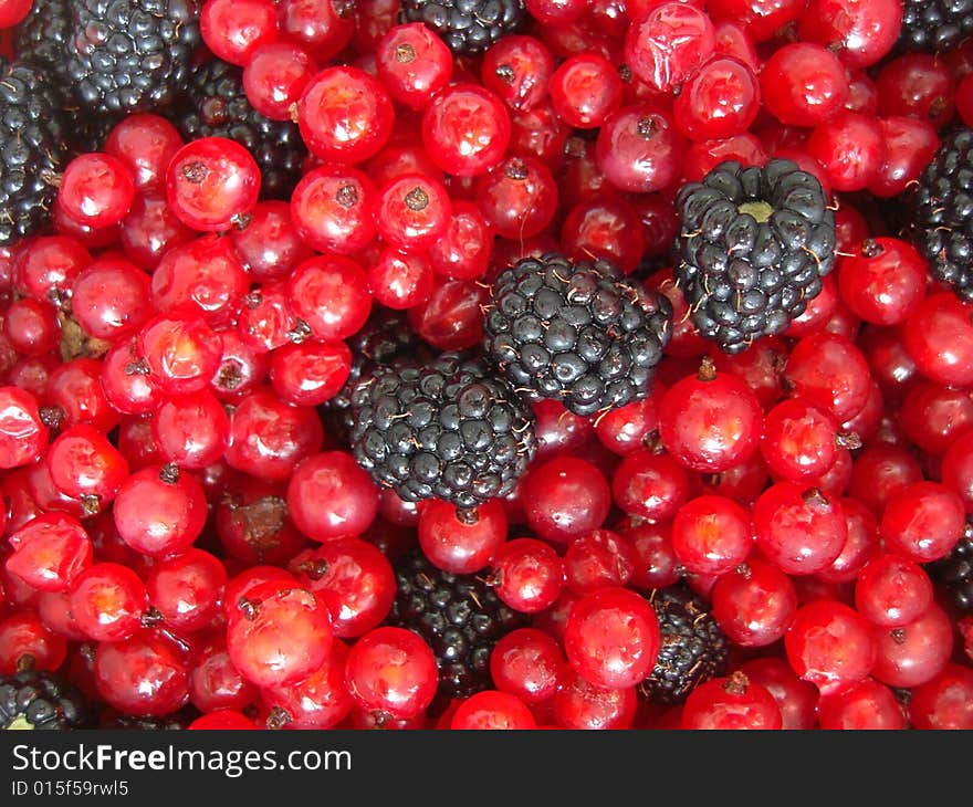 Mix of red currant and blackberries. Mix of red currant and blackberries