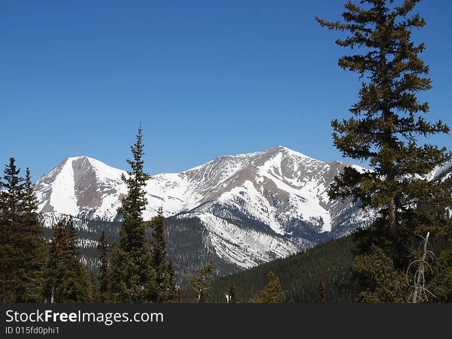 Rocky Mountain Beauty