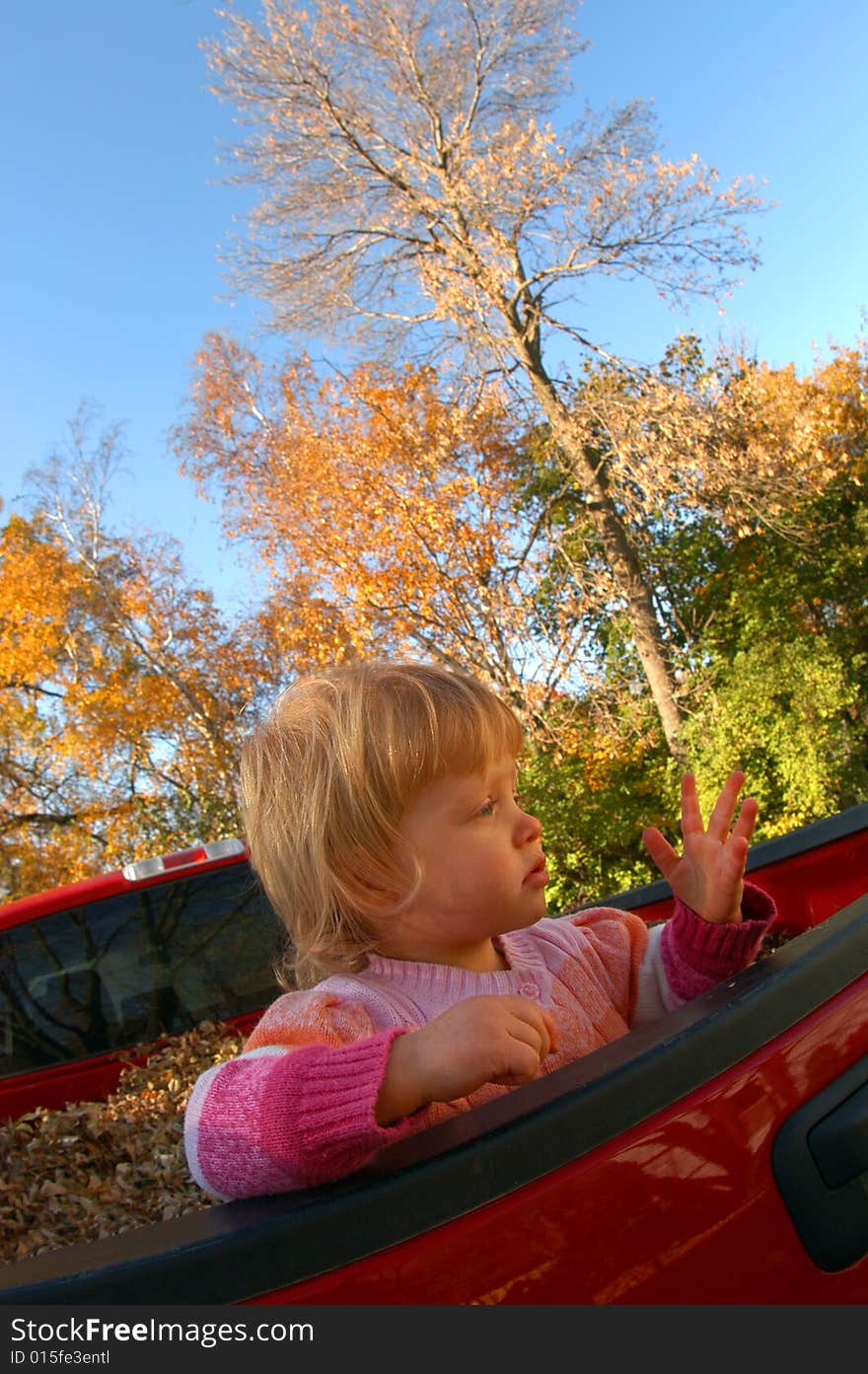 A young girl stands in the back of a pick-up truck filled with leaves while the trees in the background show their fall colors. A young girl stands in the back of a pick-up truck filled with leaves while the trees in the background show their fall colors.