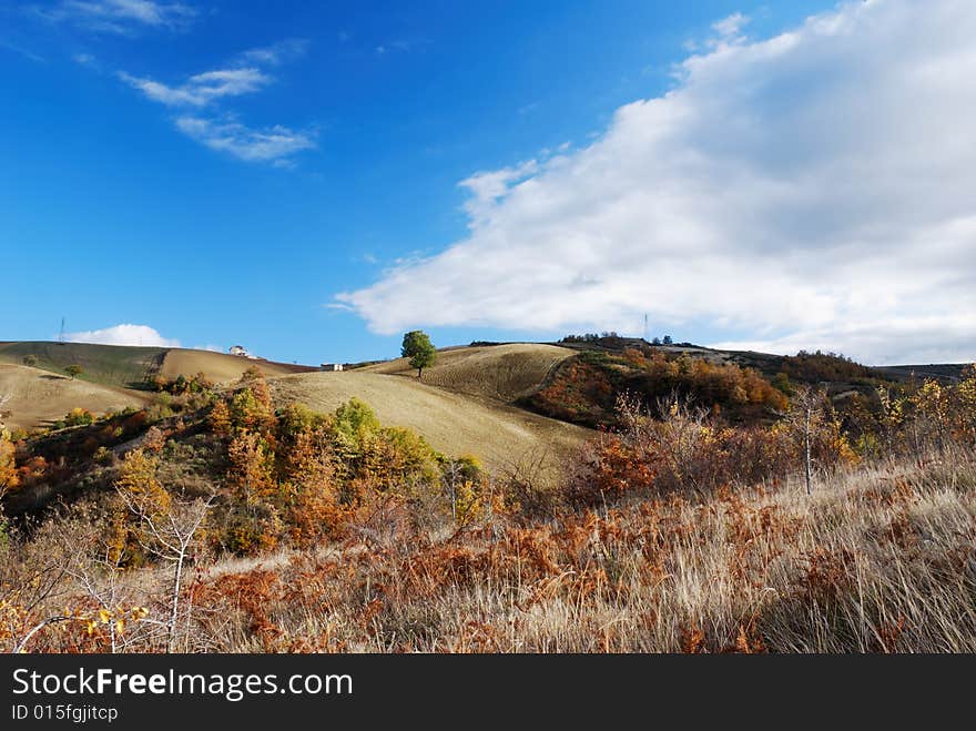 Dry grass and fall colors