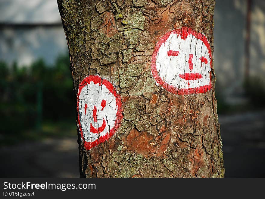 Two smileys painted on the bark of a tree. Two smileys painted on the bark of a tree