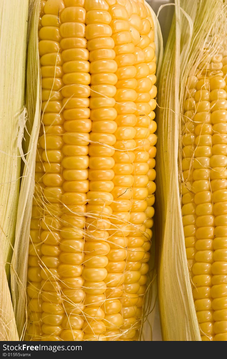 Golden corn