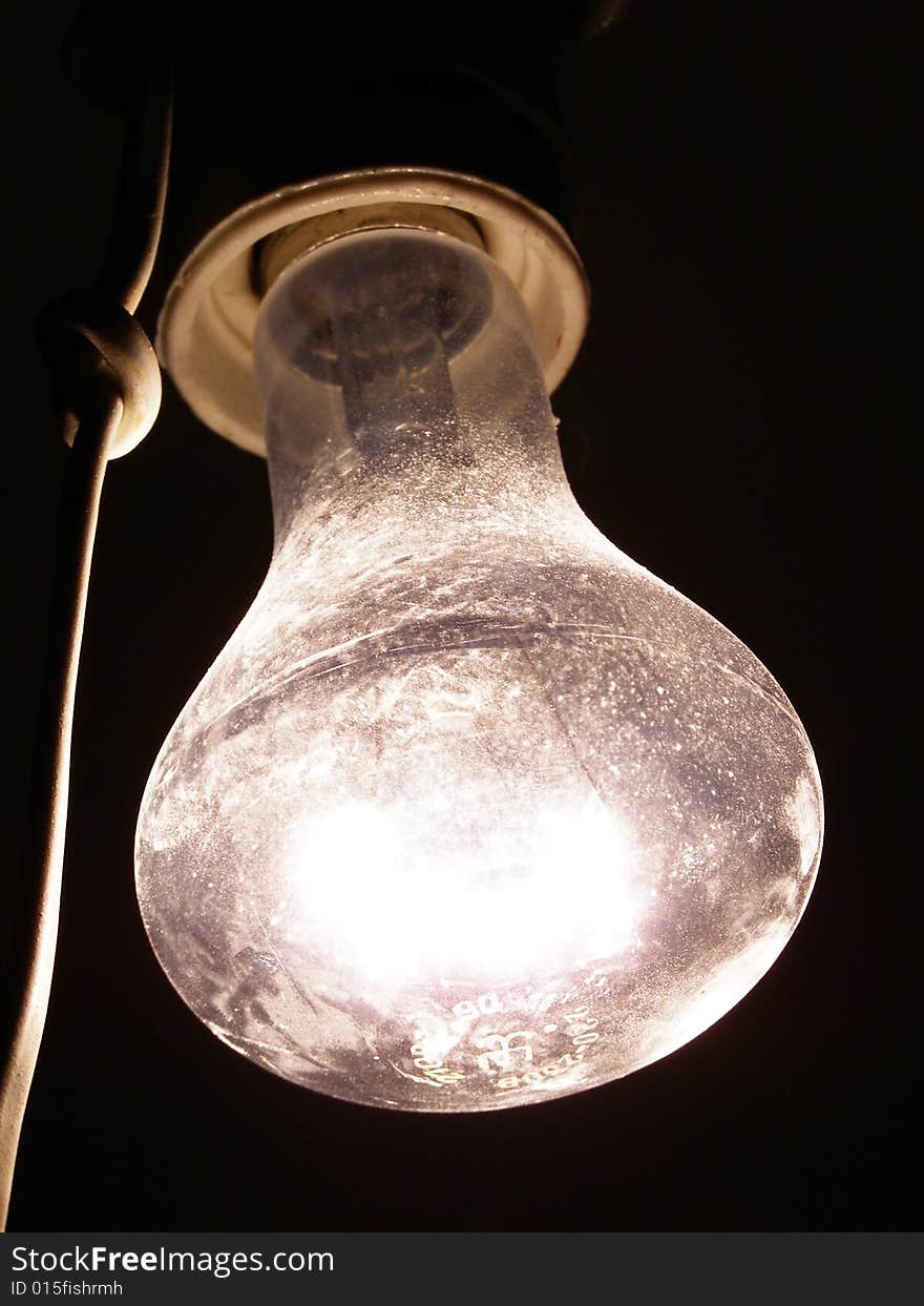 The bulb